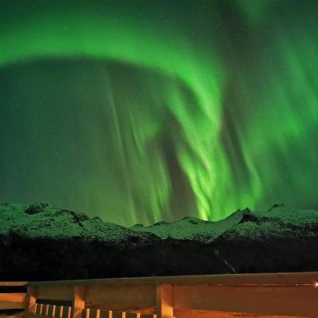 Unique And Charming House At The Foot Of Lofoten'S Highest Mountain Svolvær Extérieur photo