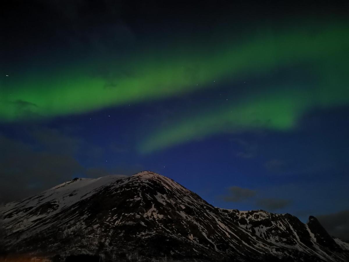 Unique And Charming House At The Foot Of Lofoten'S Highest Mountain Svolvær Extérieur photo