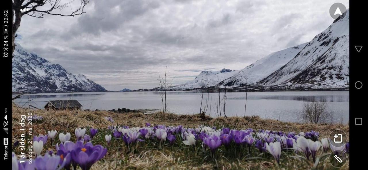 Unique And Charming House At The Foot Of Lofoten'S Highest Mountain Svolvær Extérieur photo
